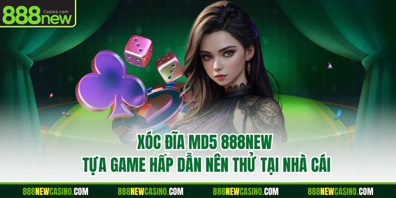 Xóc Đĩa MD5 888NEW - Tựa Game Hấp Dẫn Nên Thử Tại Nhà Cái